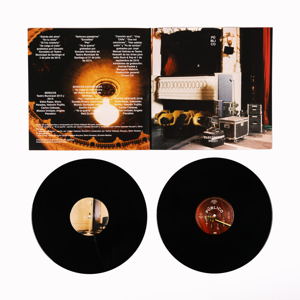 ELECTRODOMÉSTICOS - PÚBLICO (VINILO)